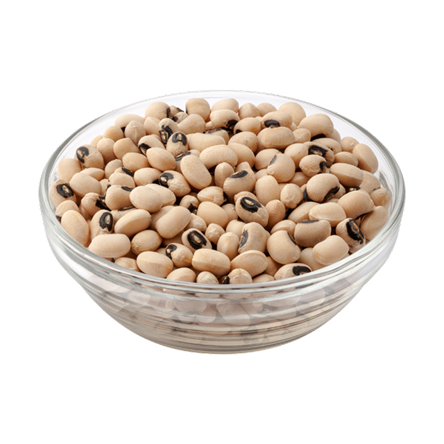 https://moimoiqueen.com/wp-content/uploads/2025/05/Beans-1-1.png