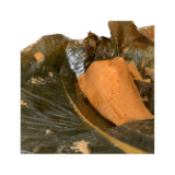 Moi Moi Elewe (Plain) - Image 2